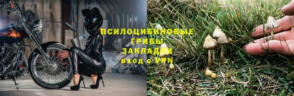 твердый Арсеньев
