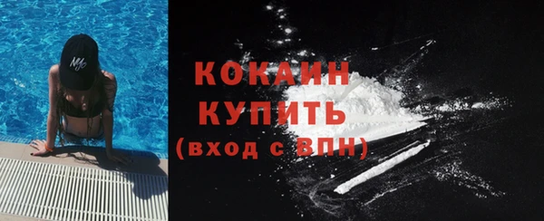твердый Арсеньев