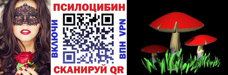 наркошоп  Ростов  Галлюциногенные грибы прущие грибы 